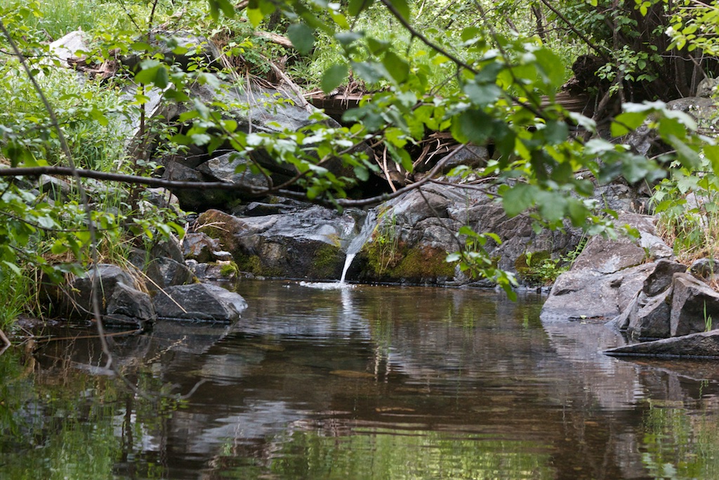 Trickling Stream
